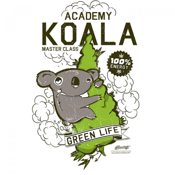 Academy Koala L CHICO - 