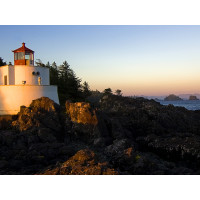 Purchase Collection #294