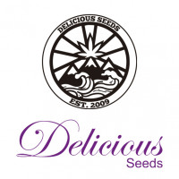 Purchase Collection #105