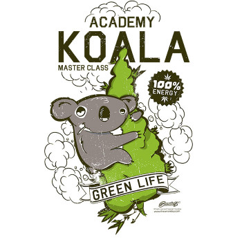 Academy Koala L CHICO
